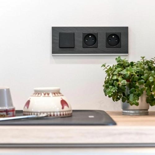 Interrupteur noir avec plante verte